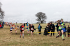 Girls under-13s, 2018 Northern Cross Country Champs., Harewood House, Leeds. Photo: David T. Hewitson/Sports for All Pics
